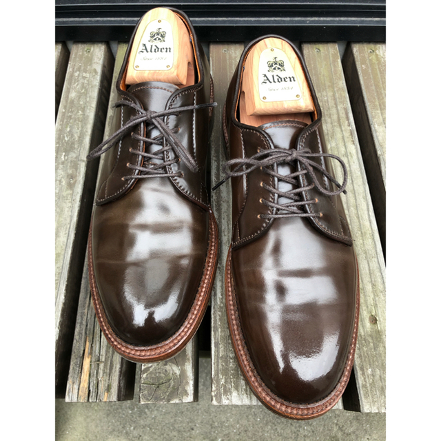 ALDEN CIGAR93911 シガープレーントゥ　レアカラー7.5Dメンズ