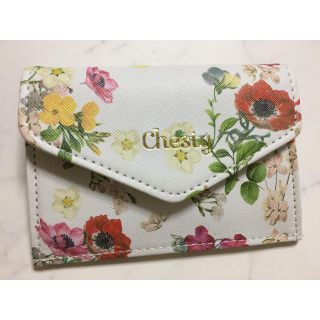 チェスティ(Chesty)のチェスティ　マルチミニ財布　カードケース　付録　chesty(コインケース)