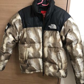 シュプリーム(Supreme)のsupreme thenorthface(ダウンジャケット)