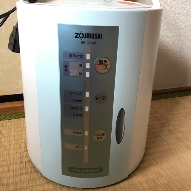 象印 ZOJIRUSHI スチーム式加湿器  EE-GG30