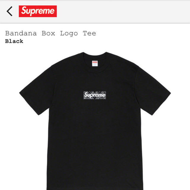 Supreme(シュプリーム)のSupreme Bandana Box Logo Tee Black メンズのトップス(Tシャツ/カットソー(半袖/袖なし))の商品写真