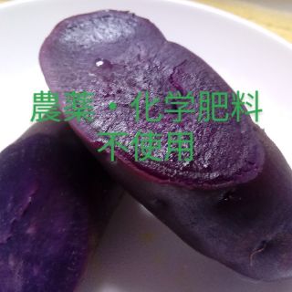 パープルスイートロード3kg[農薬・化学肥料不使用](野菜)