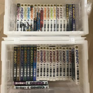 ハクセンシャ(白泉社)のベルセルク　1-39巻　美品！　お値下げ⭐️(少年漫画)