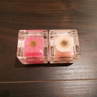 FlowerPowerグロスリップ2点セット(リップグロス)