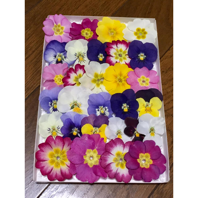 お花屋さんが作ったプリムラとビオラのドライフラワー 221の通販 By 銀の紫陽花 S Shop ラクマ