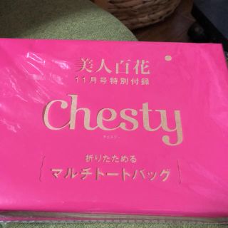 チェスティ(Chesty)の美人百花付録(ファッション)