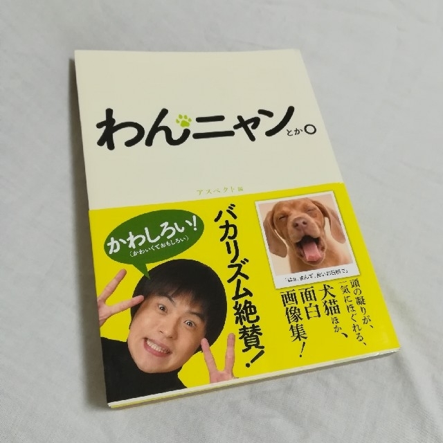 【中古本】わんニャンとか。 犬猫ほか、面白画像集 エンタメ/ホビーの本(アート/エンタメ)の商品写真