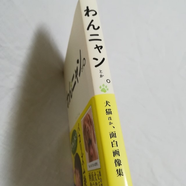 【中古本】わんニャンとか。 犬猫ほか、面白画像集 エンタメ/ホビーの本(アート/エンタメ)の商品写真