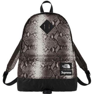 シュプリーム(Supreme)のsupreme×TNF バックパック(バッグパック/リュック)