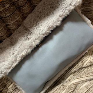 ザラ(ZARA)のファーバッグ ♡ クラッチバッグ ♡(クラッチバッグ)