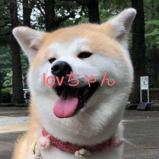 ノーリーズ(NOLLEY'S)のlovちゃん専用♡♡(リュック/バックパック)