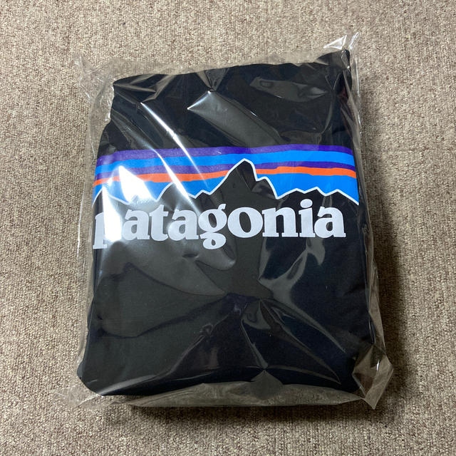 patagonia(パタゴニア)のパタゴニア パーカー L メンズのトップス(パーカー)の商品写真