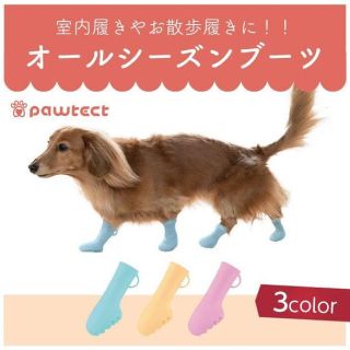 新品ペットブーツ パウテクト Lサイズ 4個セット(犬)