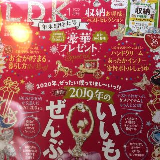 LDK (エル・ディー・ケー) 2020年 01月号(生活/健康)