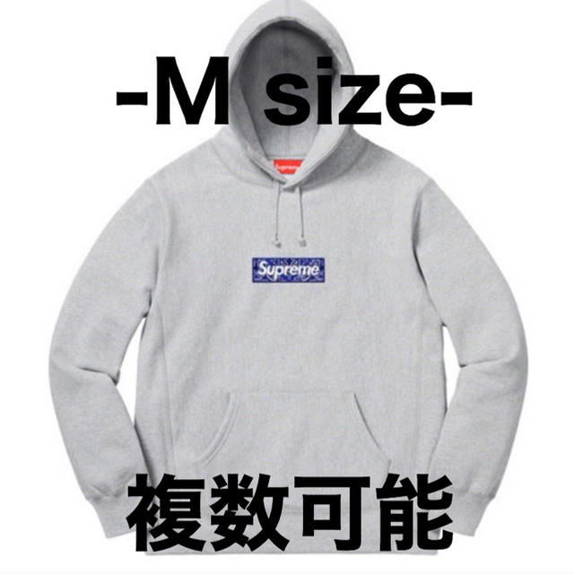 Bandana Box Logo Hooded Sweatshirt M - パーカー