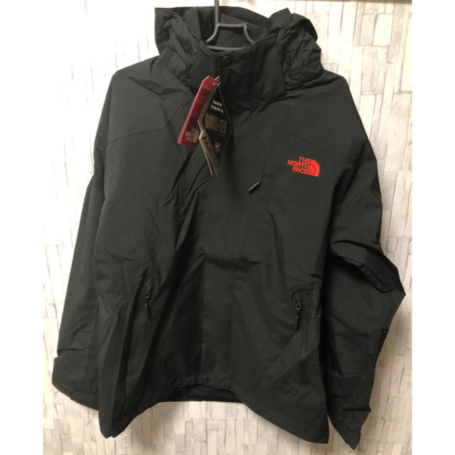 THE NORTH FACE(ザノースフェイス)のノースフェイス マウンテンパーカー ゴアテックス Lサイズ メンズのジャケット/アウター(マウンテンパーカー)の商品写真