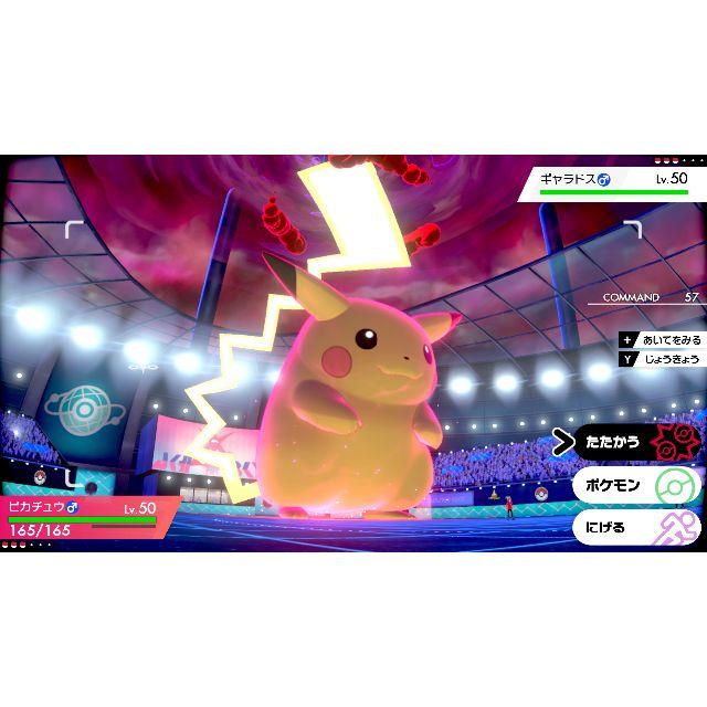 ポケモン - 新品 レッツゴーピカチュウ ニンテンドースイッチ ポケモン