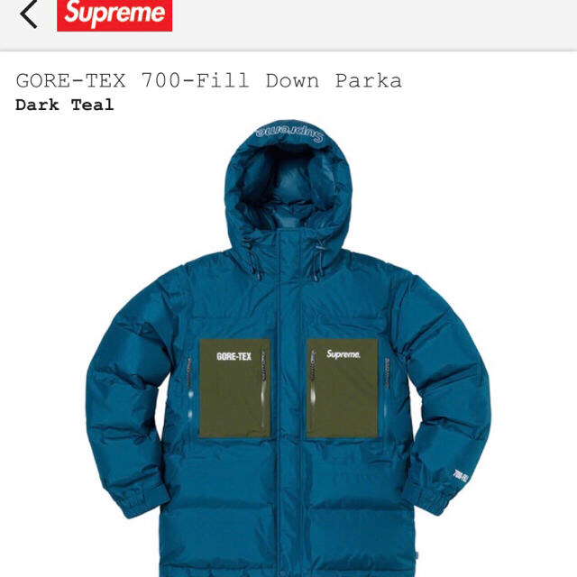 Supreme GORE-TEX 700-Fill Down Parka | www.goodasgoldtraining.com