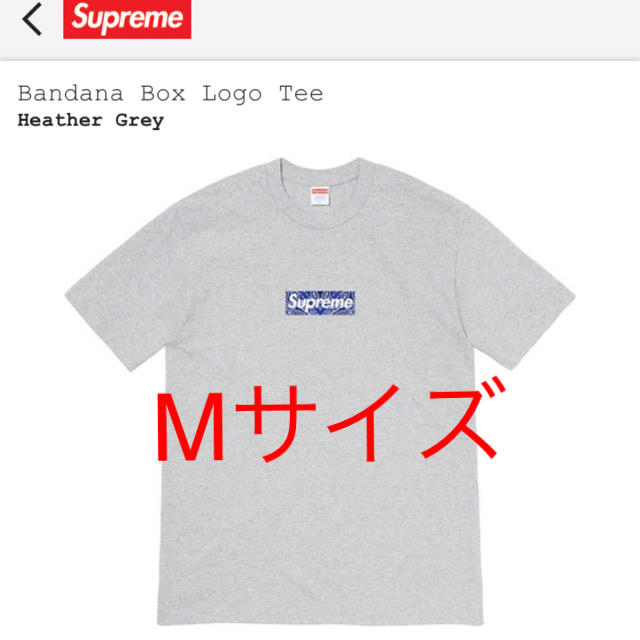 Tシャツ/カットソー(半袖/袖なし)Mサイズ Bandana Box Logo Tee grey