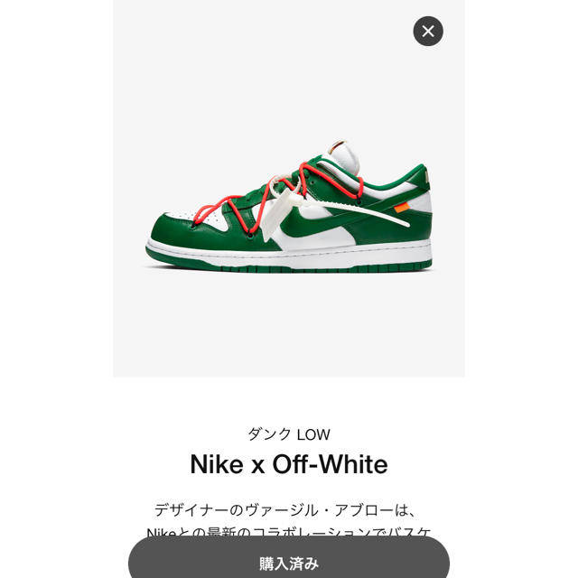 NIKE off-white  ナイキ　ダンク