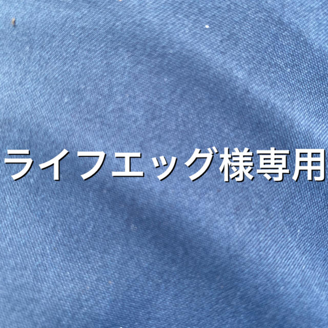 専用ページ 12月23日、24時まで