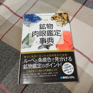 図説鉱物肉眼鑑定事典(科学/技術)