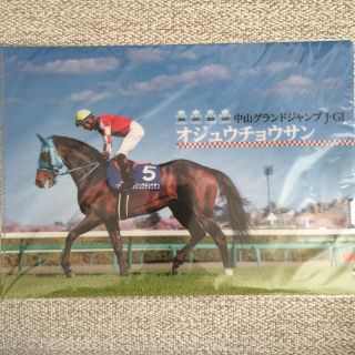 JRA オジュウチョウサン クリアファイル(ノベルティグッズ)