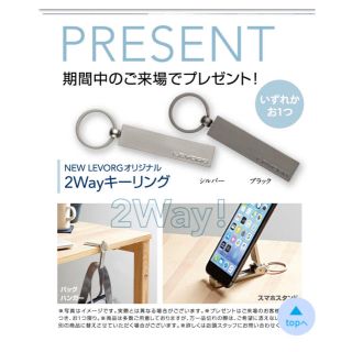 スバル(スバル)のスバル 非売品 キーリング 2色セット(キーホルダー)