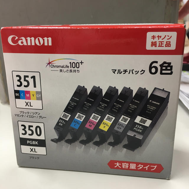 Canon 純正インク 350-351  10本セット