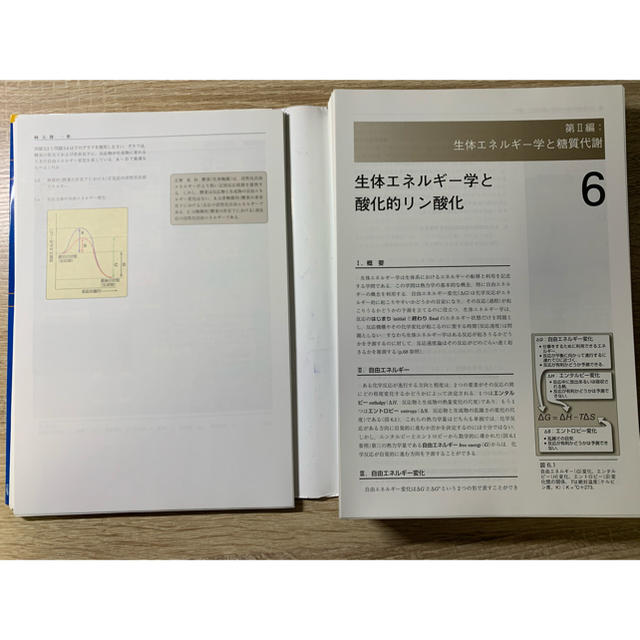 裁断済み イラストレイテッド生化学 原書6版の通販 By G2 S Shop ラクマ 裁断済み イラストレイテッド生化学 原書6版の通販 By G2 S Shop ラクマ
