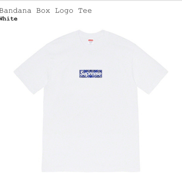 Supreme Bandana Box Logo Tee 2019 F/W 白