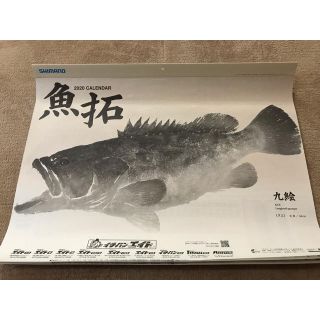 シマノ(SHIMANO)のシマノ　魚拓　カレンダー2020年　非売品　潮時表付　はるこ様専用(カレンダー/スケジュール)