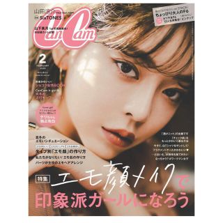 ショウガクカン(小学館)のなの様専用⭐️CanCam 2020年2月号、ViVi 2020年2月号(ファッション)