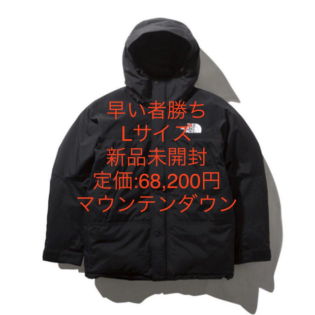 ジャケット/アウターTHE NORTH FACE マウンテンダウンジャケット L