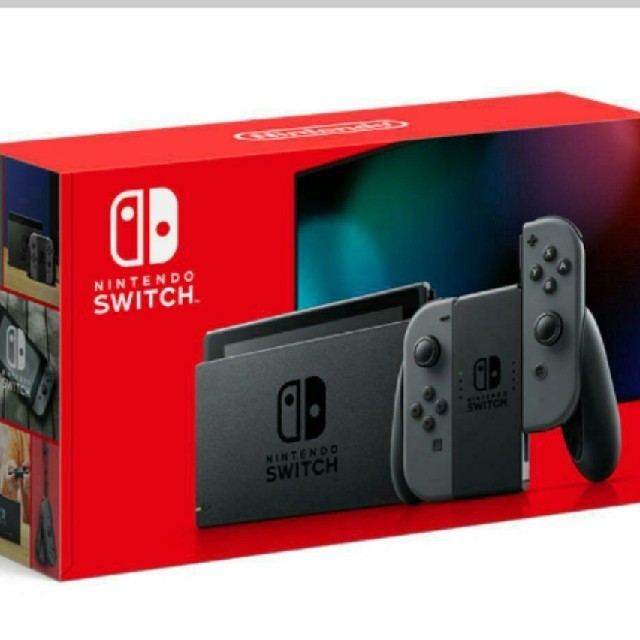 Nintendo Switch グレー 2点セット 新品未使用