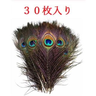 【送料無料】孔雀の羽　クジャク　リアルフェザー　天然素材　25～30ｃｍ　３０枚(その他)