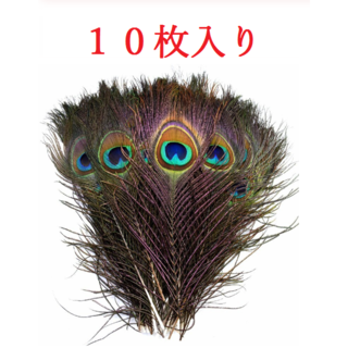 【送料無料】孔雀の羽　クジャク　リアルフェザー　25～30ｃｍ　天然素材　１０枚(その他)