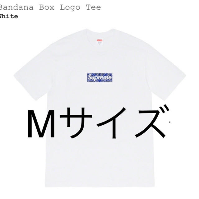 supreme  Bandana Box Logo Tee   White MTシャツ/カットソー(半袖/袖なし)