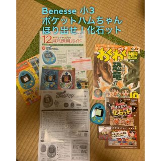 Benesse 小3 ほり出せ！ 化石ット ポケットハムちゃん 美品 ほぼ新品(知育玩具)