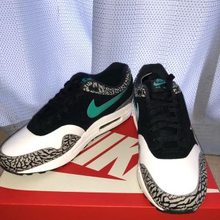 ナイキ(NIKE)のtaka taka様専用　NIKE AIR MAX 1  ATMOS (スニーカー)