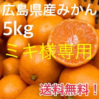 【ミキ♪様専用】大崎上島産 みかん 5kg 広島 瀬戸内(フルーツ)