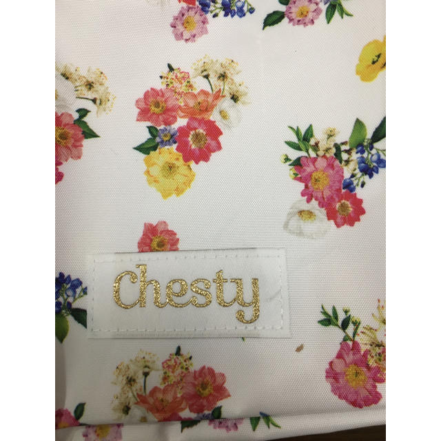 Chesty(チェスティ)の新品未使用♡美人百花 付録 チェスティ ポーチ レディースのファッション小物(ポーチ)の商品写真