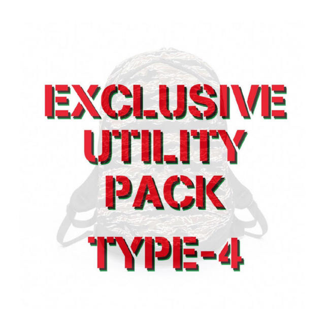 SAPEur LIMITED■EXCLUSIVE UTILITY TYPE-4■