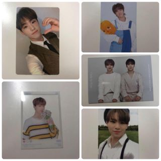 セブンティーン(SEVENTEEN)のかれーらいす様(その他)