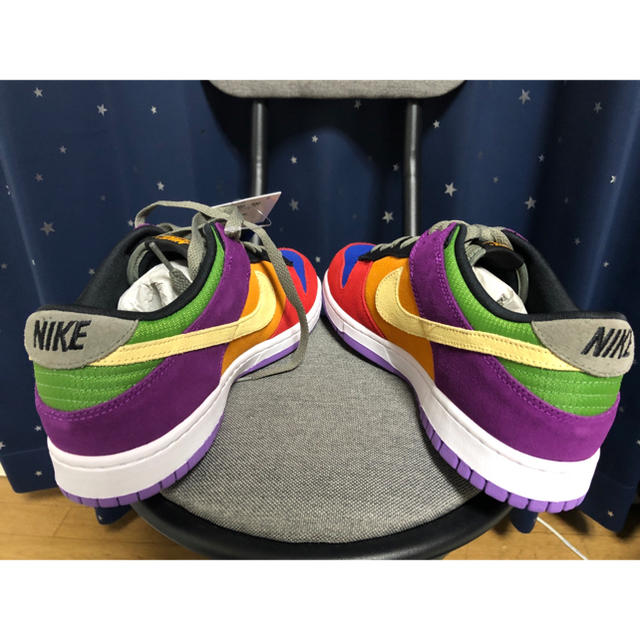 NIKE(ナイキ)のナイキ ダンク ロー バイオテック メンズの靴/シューズ(スニーカー)の商品写真