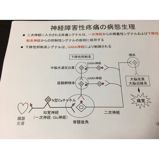 看護師、准看護師国家試験、看護学科定期試験対策シリーズ【中枢神経疾患】セット エンタメ/ホビーの本(語学/参考書)の商品写真