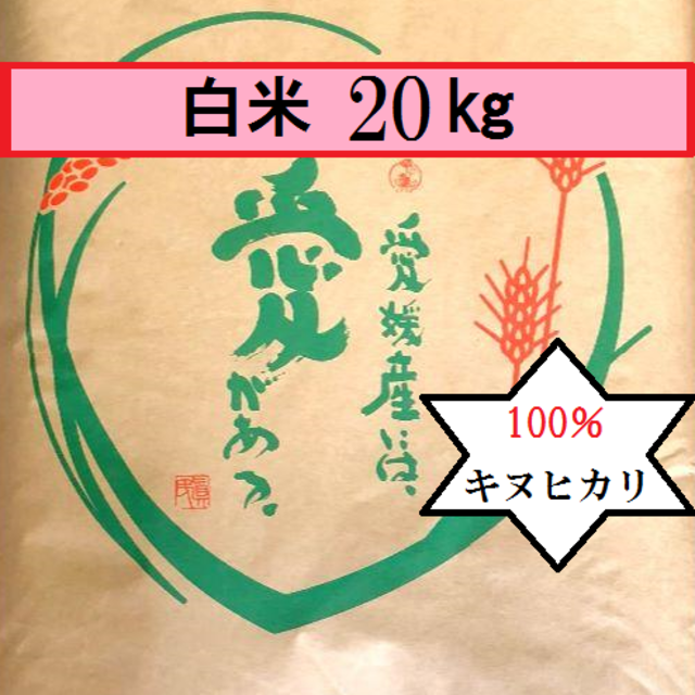 食品/飲料/酒お米　令和元年　愛媛県産キヌヒカリ　白米　20㎏