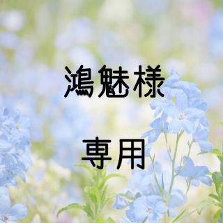 鴻魅様専用  お米　令和元年　愛媛県産キヌヒカリ　玄米　30㎏(米/穀物)