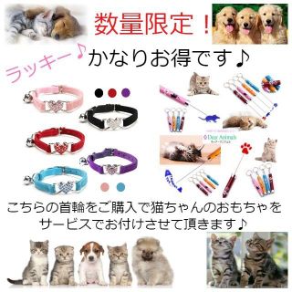 猫 首輪 小型犬用首輪 お得な猫ちゃんのおもちゃ付き♪ 新品未使用品 005(猫)