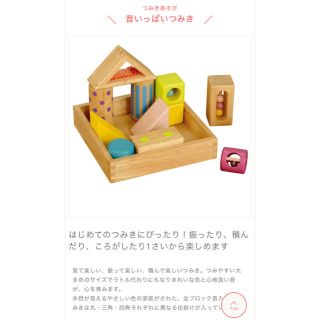 aki様専用　音いっぱいつみき Sound Blocks エドインター(知育玩具)